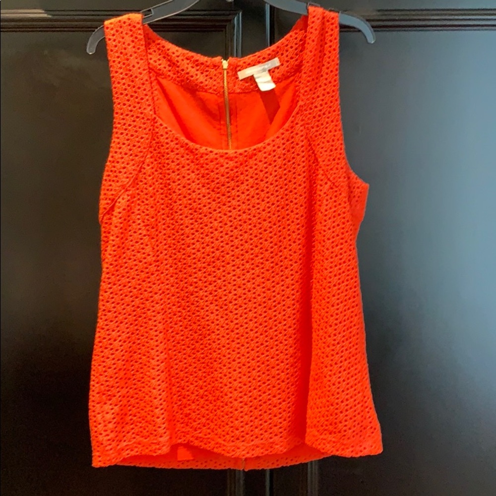 Beautiful Lined Tank Blouse